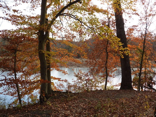 Rancocas State Park 3